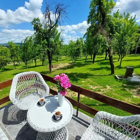 Vikendica Gaj Villa Gornji Milanovac Exterior photo