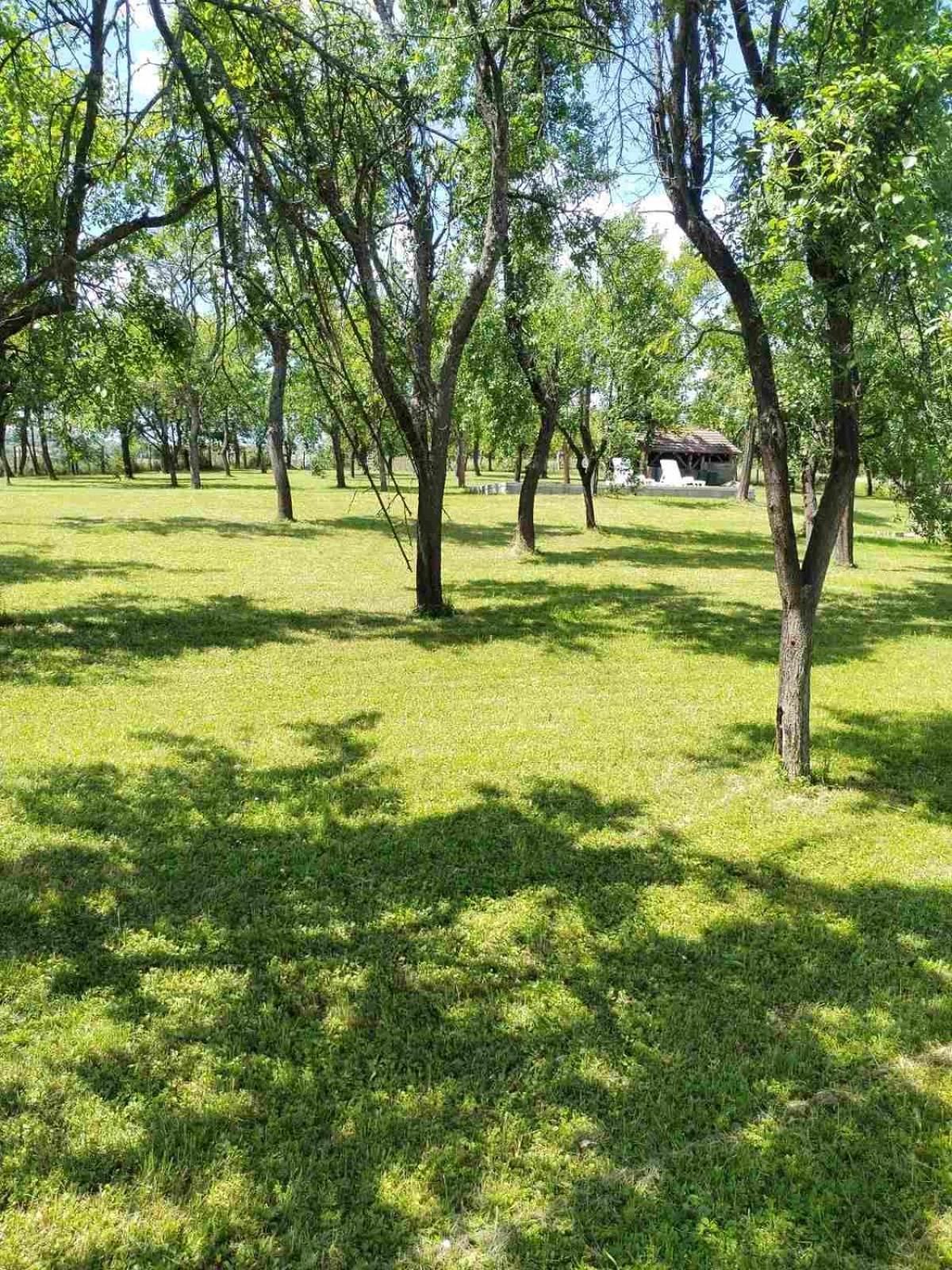 Vikendica Gaj Holiday home